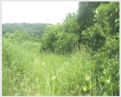  2025Ÿ��30193 ���� ��â�� �ΰ�� ������ ��1-1      ����(��)���