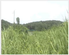  2025Ÿ��30193 ���� ��â�� �ΰ�� ������ ��1-1      ����(��)���