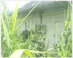  2025Ÿ��30193 ���� ��â�� �ΰ�� ������ ��1-1      ����(��)���