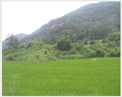  2025Ÿ��30193 ���� ��â�� �ΰ�� ������ ��1-1      ����(��)���