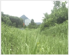  2025Ÿ��30193 ���� ��â�� �ΰ�� ������ ��1-1      ����(��)���