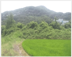  2025Ÿ��30193 ���� ��â�� �ΰ�� ������ ��1-1      ����(��)���