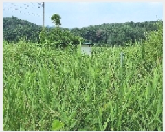  2025Ÿ��30193 ���� ��â�� �ΰ�� ������ ��1-1      ����(��)���