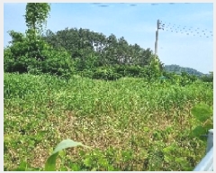  2025Ÿ��30193 ���� ��â�� �ΰ�� ������ ��1-1      ����(��)���