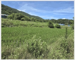  2025Ÿ��30195 ���� ����� �賲�� ������ 623      ����(��1)���