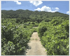  2025Ÿ��30195 ���� ����� �賲�� ������ 623      ����(��1)���