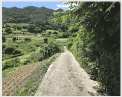  2025Ÿ��30195 ���� ����� �賲�� ������ 623      ����(��1)���