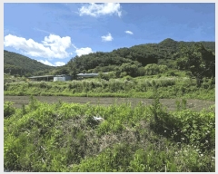  2025Ÿ��30195 ���� ����� �賲�� ������ 623      ����(��1)���