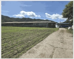  2025Ÿ��30195 ���� ����� �賲�� ������ 623      ����(��1)���