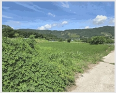  2025Ÿ��30195 ���� ����� �賲�� ������ 623      ����(��1)���