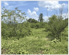  2025Ÿ��30211 ���� ��â�� �ݰ��� �漺�� 664-1      ����(������)���