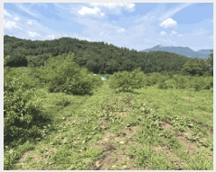  2025Ÿ��30211 ���� ��â�� �ݰ��� �漺�� 664-1      ����(������)���