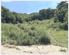  2025Ÿ��30211 ���� ��â�� �ݰ��� �漺�� 664-1      ����(������)���