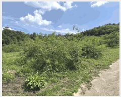  2025Ÿ��30211 ���� ��â�� �ݰ��� �漺�� 664-1      ����(������)���