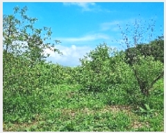  2025Ÿ��30211 ���� ��â�� �ݰ��� �漺�� 664-1      ����(������)���