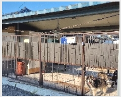  2025Ÿ��30221 ���� ������ ������ 50       ���ð��