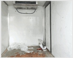  2025Ÿ��30223  �������