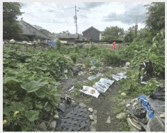  2025Ÿ��30227  �������