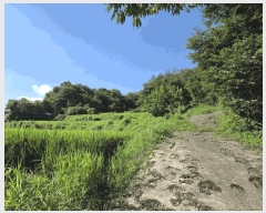  2025Ÿ��30233 ���� ��â�� ������ ��� 390      ����(��1)���