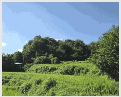  2025Ÿ��30233 ���� ��â�� ������ ��� 390      ����(��1)���