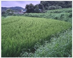  2025Ÿ��30233 ���� ��â�� ������ ��� 390      ����(��1)���