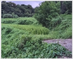  2025Ÿ��30233 ���� ��â�� ������ ��� 390      ����(��1)���