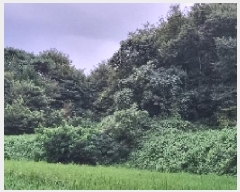  2025Ÿ��30233 ���� ��â�� ������ ��� 390      ����(��1)���