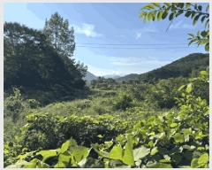  2025Ÿ��30235 ���� ��â�� ������ ���긮 279-4      ����(��)���
