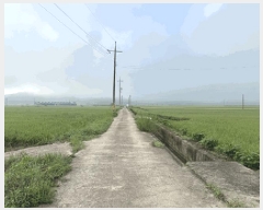  2025Ÿ��30235 ���� ��â�� ������ ���긮 279-4      ����(��)���