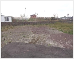  2025Ÿ��367 ���� ���ֽ� �Ѱ�� ����� 1064      ����(����)���