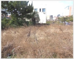  2025Ÿ626   ߹ 1961-2       ()