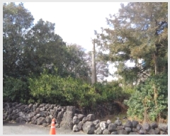  2025Ÿ626   ߹ 1961-2       ()