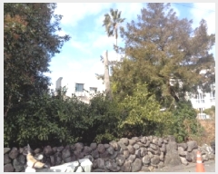  2025Ÿ626   ߹ 1961-2       ()