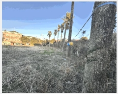  2025Ÿ��794  �������