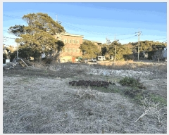  2025Ÿ��794  �������