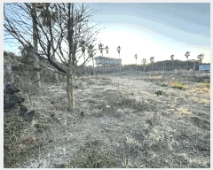  2025Ÿ��794  �������