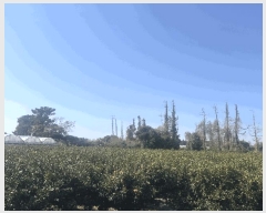  2025Ÿ��886  ���������