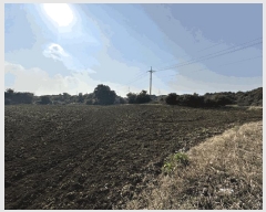  2025Ÿ929    Ż긮 1962      (Ӿ)