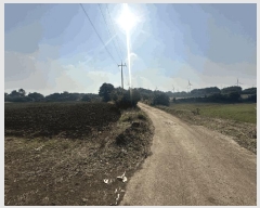  2025Ÿ929    Ż긮 1962      (Ӿ)