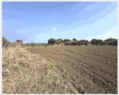  2025Ÿ929    Ż긮 1962      (Ӿ)