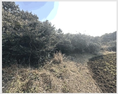  2025Ÿ929    Ż긮 1962      (Ӿ)