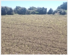  2025Ÿ929    Ż긮 1962      (Ӿ)