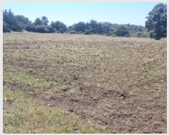  2025Ÿ929    Ż긮 1962      (Ӿ)