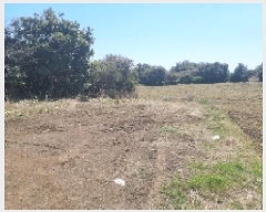  2025Ÿ929    Ż긮 1962      (Ӿ)