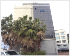  2025Ÿ��967  �ټ���(����)���