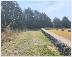  2025Ÿ1046  ֽ ֿ ϸ 1-10      (Ӿ)