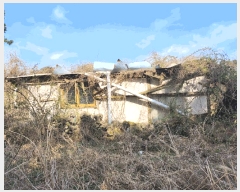  2025Ÿ1046  ֽ ֿ ϸ 1-10      (Ӿ)