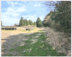  2025Ÿ1046  ֽ ֿ ϸ 1-10      (Ӿ)