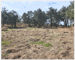  2025Ÿ1046  ֽ ֿ ϸ 1-10      (Ӿ)