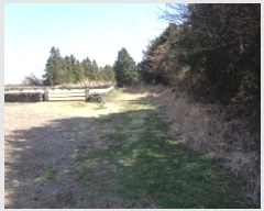  2025Ÿ1046  ֽ ֿ ϸ 1-10      (Ӿ)